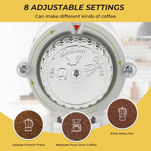 Electric Burr Coffee Grinder