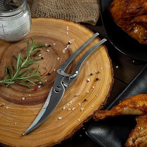 All Purpose Kitchen Scissors