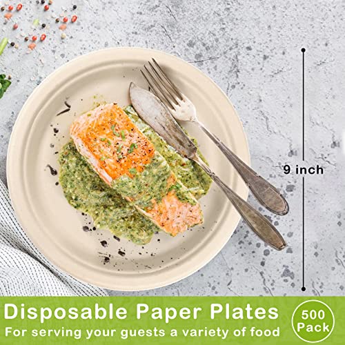 500 Pack Compostable Paper Plates 9 inch (500 Count)