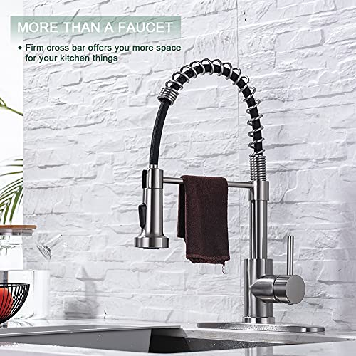 Pull Down Kitchen Faucet