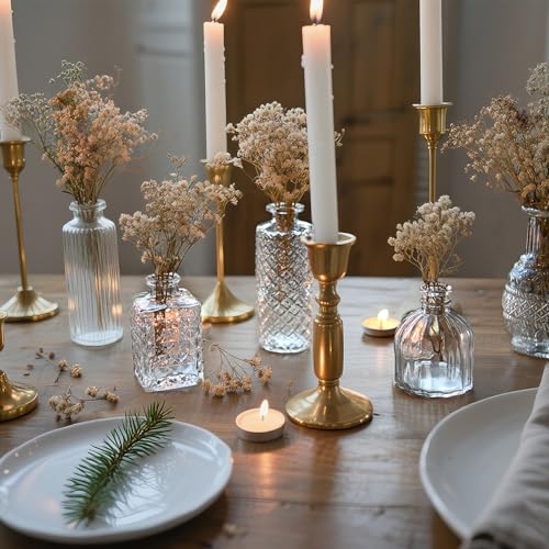Glass Bud Vase Set of 12 Pcs Small Minimalist Vases for Flowers (12 Count)