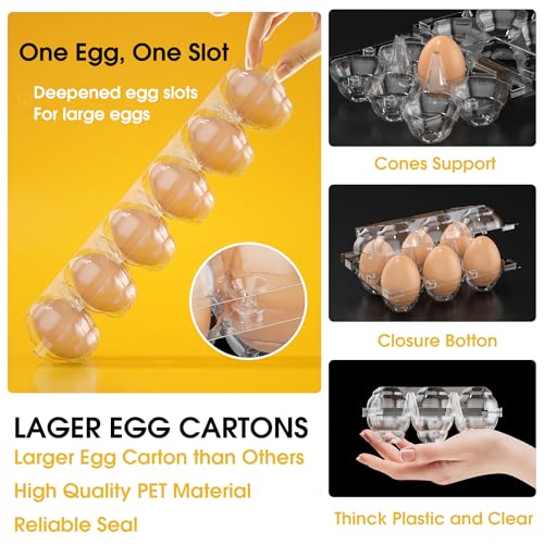 100 Pack Large Egg Cartons Cheap Bulk 6 Count Plastic Egg Containers 2x3