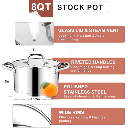 Stainless Steel Stock Pot