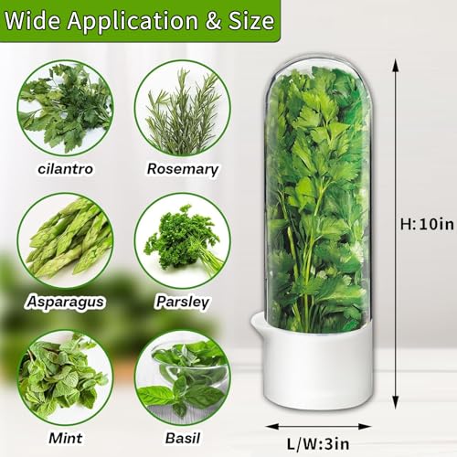 Herb Saver for Refrigerator