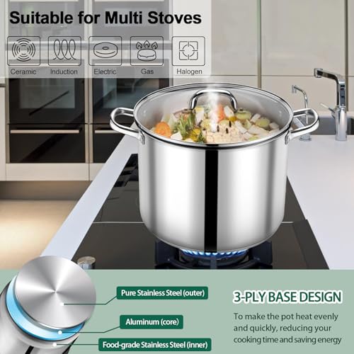 20 QT Stainless Steel Stock Pot with Lid
