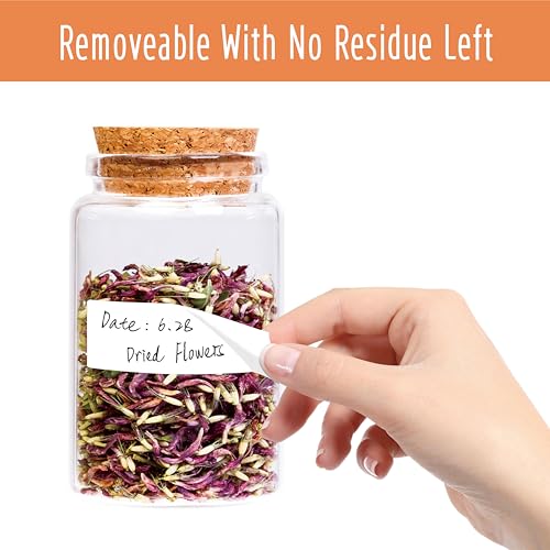 300 Removable Blank Food Labels