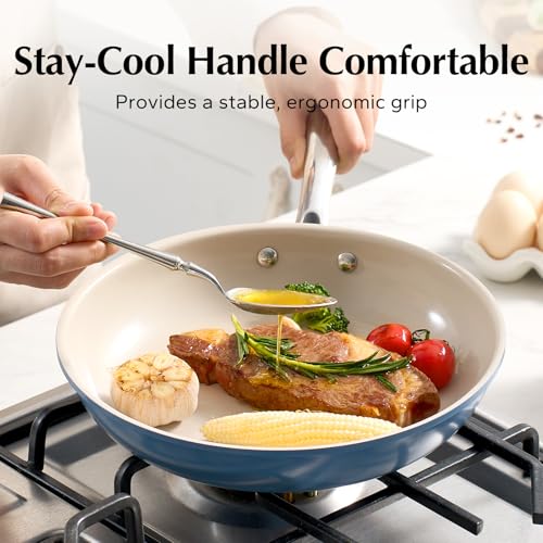 Nonstick Frying Pan Skillet