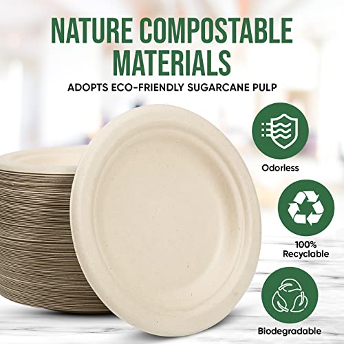 Small Disposable Paper Plates 6 inch (100 Count)