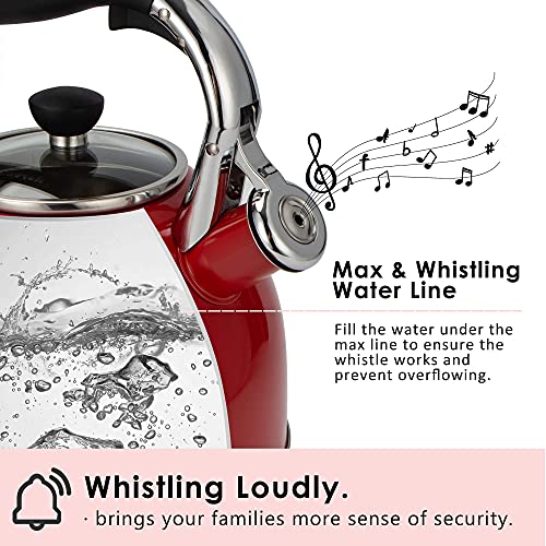 Whistling Tea Kettle for Stove Top