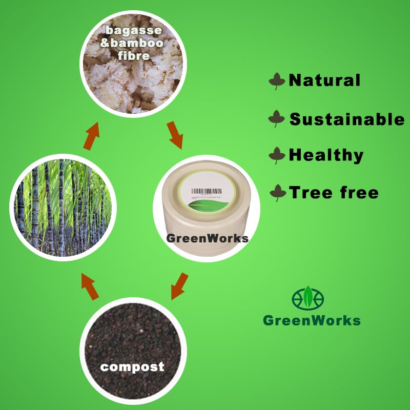 500 Count 6“ Small Compostable Dessert Plates