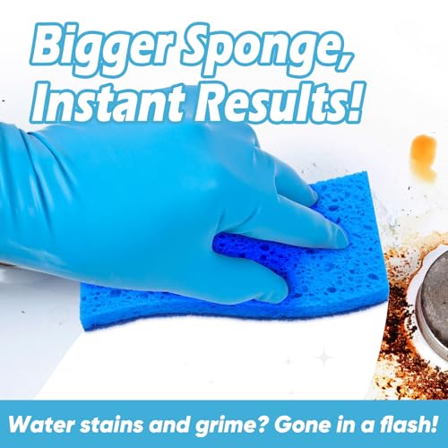 XL Sponges Kitchen 6Count (6 Count)