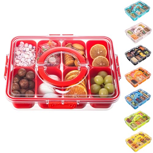 Divided Serving Tray with Lid and Handle
