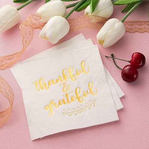 50 Pack Thanksgiving Cocktail Napkins Party Supplies Table Decorations (50 Count)