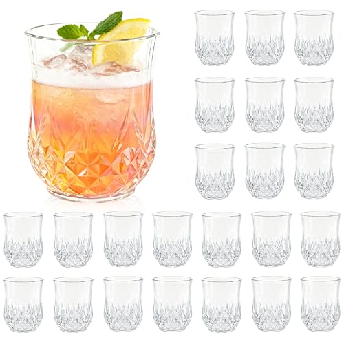 24 Pack Plastic Stemless Wine Glasses (24 Count)
