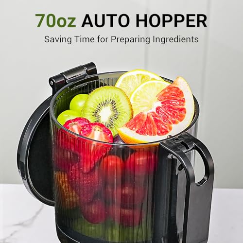 Cold Press Juicer