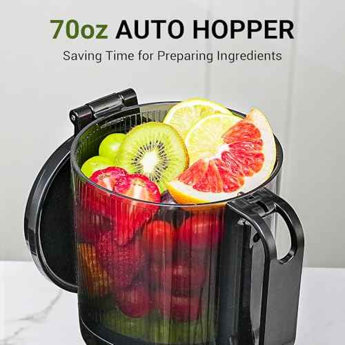 Cold Press Juicer