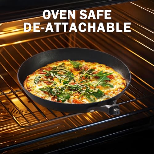 Cast Iron 12 Inch Nonstick Skillets