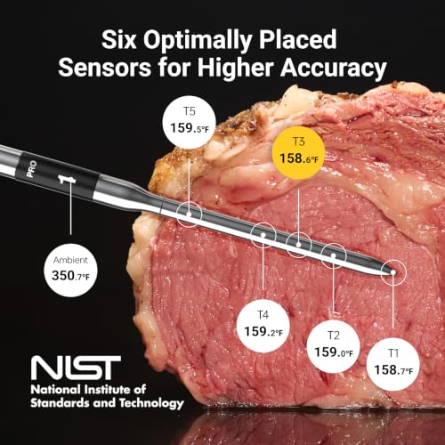 Sub 1G Wireless Meat Thermometer