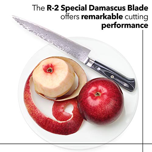 Kagayaki Japanese Chef’s Knife