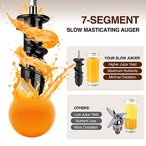 2-In-1 Masticating Fruit Vegetable Juicer Machine & Electric Coffee Grinder