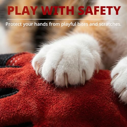 Animal handling Gloves 16
