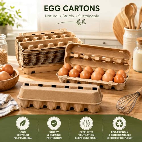 15 Pack Egg Cartons Cheap Bulk (15 Count)