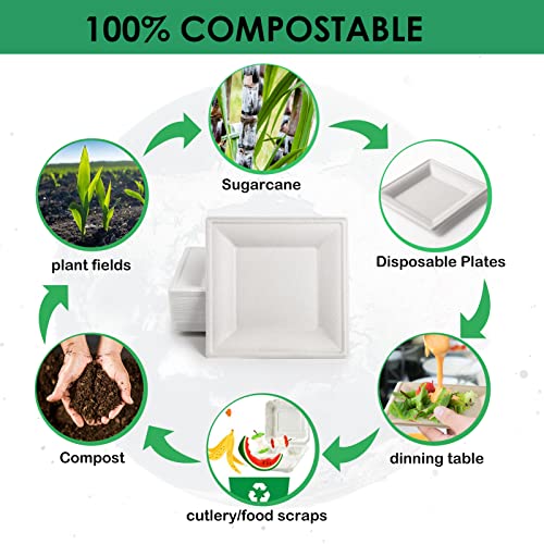 Samll Compostable Square Paper Plates 6 Inch 100 Pack Disposable (100 Count)