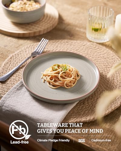 Meteor 24 Piece Stoneware Dinnerware Set