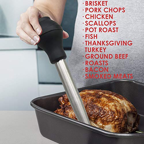 Stainless Steel Turkey Baster with BBQ