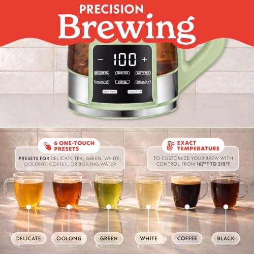 Electric Glass Kettle