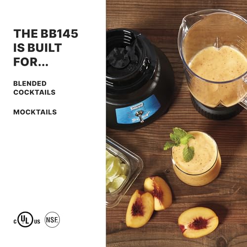 Commercial BevBasix Bar Blender
