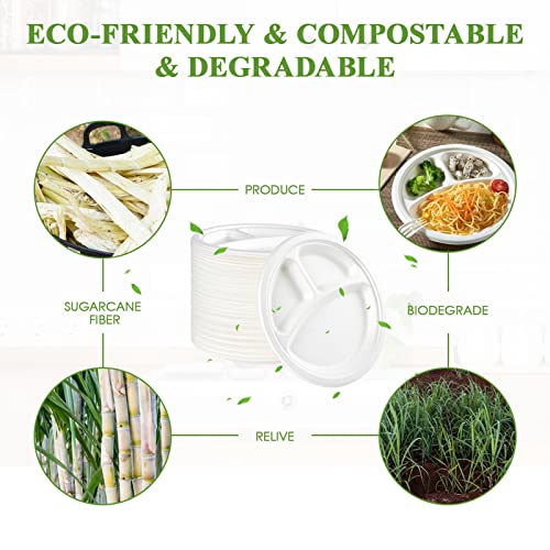 Compostable Paper Plates (150 Count)