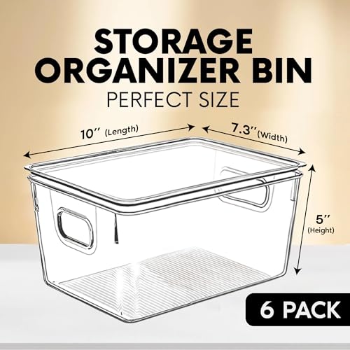 Clear Plastic Storage Bins with Lids (6 Count)