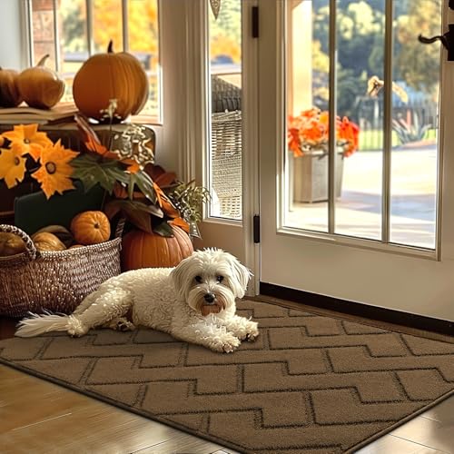 Indoor Door Mat
