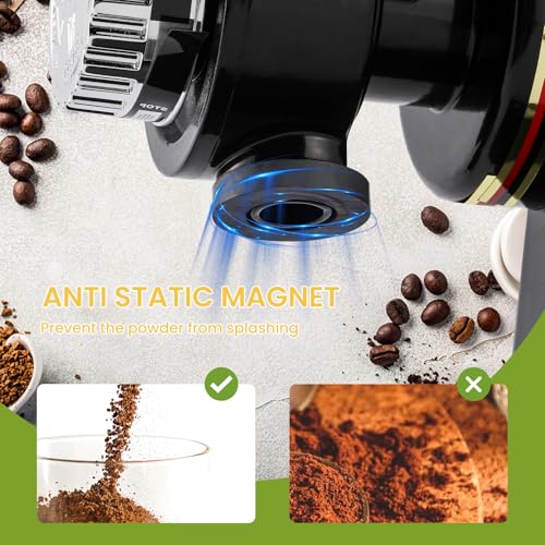 Electric Burr Coffee Grinder