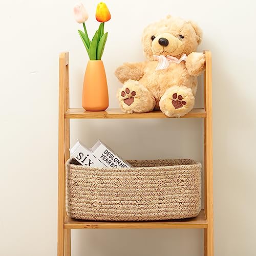 Small Storage Baskets for Organizing (3 Count)