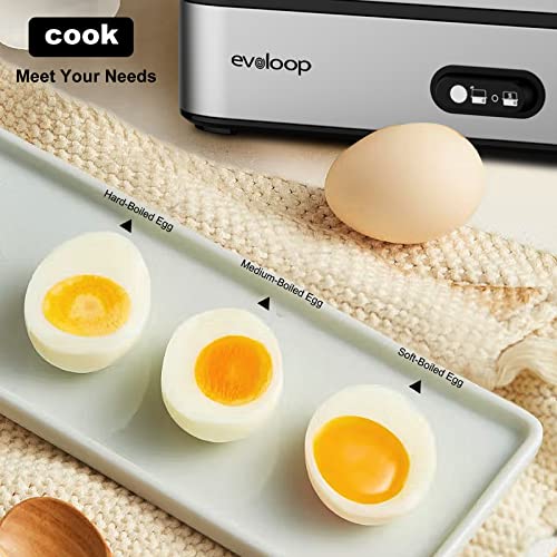 Rapid Egg Cooker Electric 6 Eggs Capacity (6 Count)