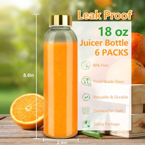 18 oz Glass Juice Bottles with Gold Lids (6 Count)