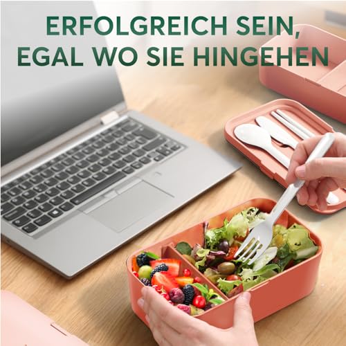 Lunch Box Containers w