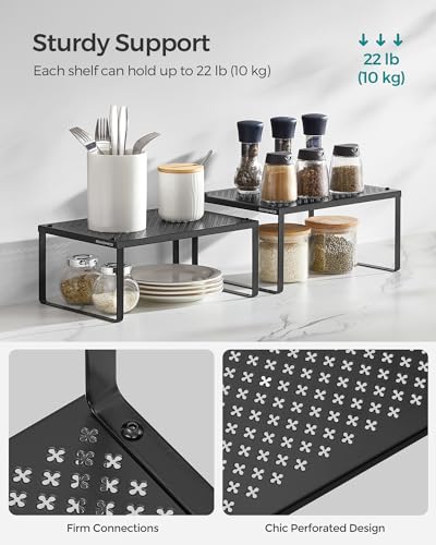 Set of 4 Metal Spice Racks (4 Count)