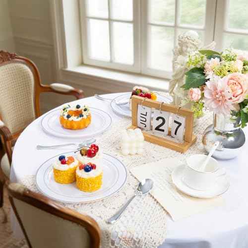 100PCS Silver Plastic Plates (100 Count)