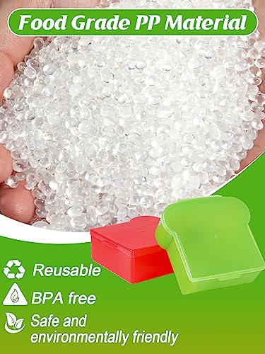 20 Oz Sandwich Containers for Kids (4 Count)