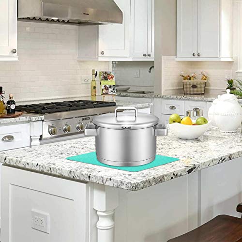 Large Silicone Trivet Mats for Hot Dishes (2 Count)
