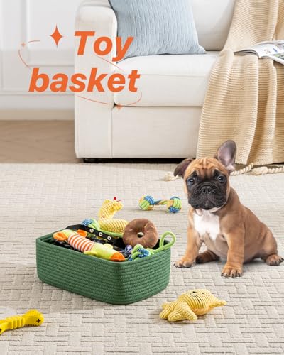 Small Woven Storage Basket for Organizing (3 Count)