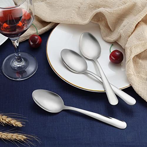 36 Piece Dinner Spoons Set (36 Count)