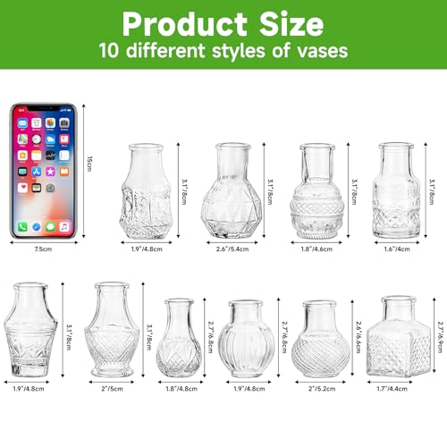 Glass Bud Vase Set of 20 Pcs (20 Count)
