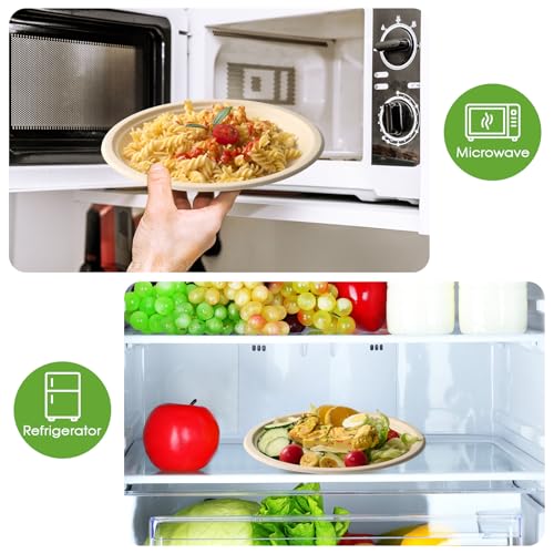 150 Pack 10 inch Compostable Disposable Paper Plates for Party (150 Count)