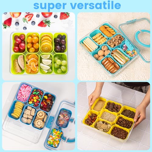 Divided Serving Tray with Lid and Handle