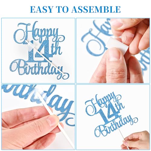 14th Birthday Cake Decorations (9 Count)