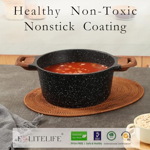 Nonstick Stock Pot with Lid